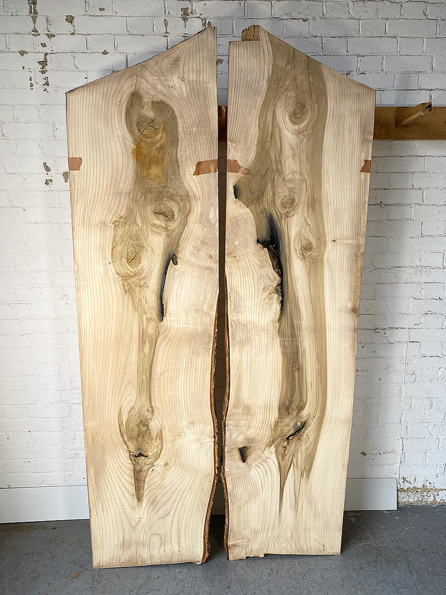 Tulip - Bookmatched Pair