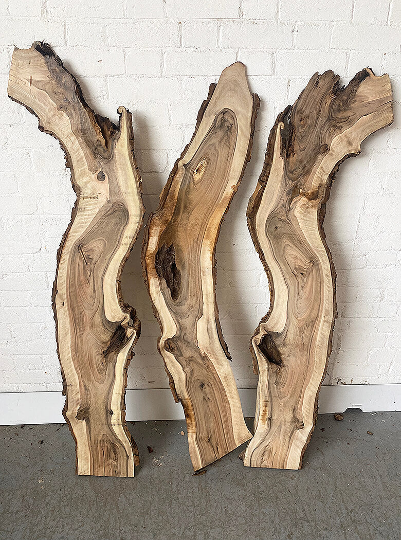 Walnut - Live Edge Boards
