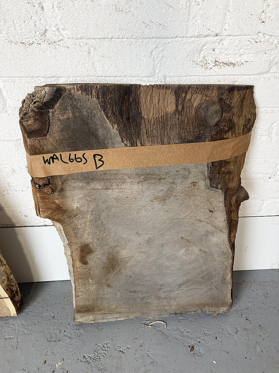 Walnut - Live Edge Boards