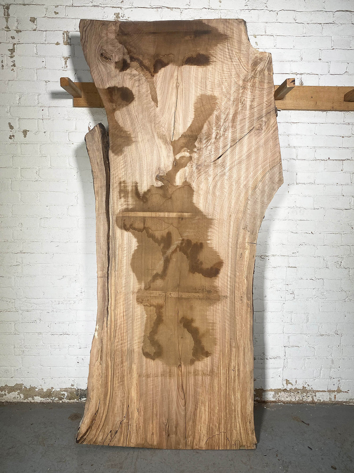 Walnut - Spalted Character Slab