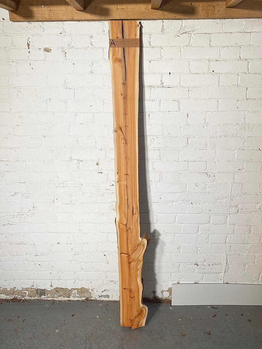 Yew - Live Edge Boards