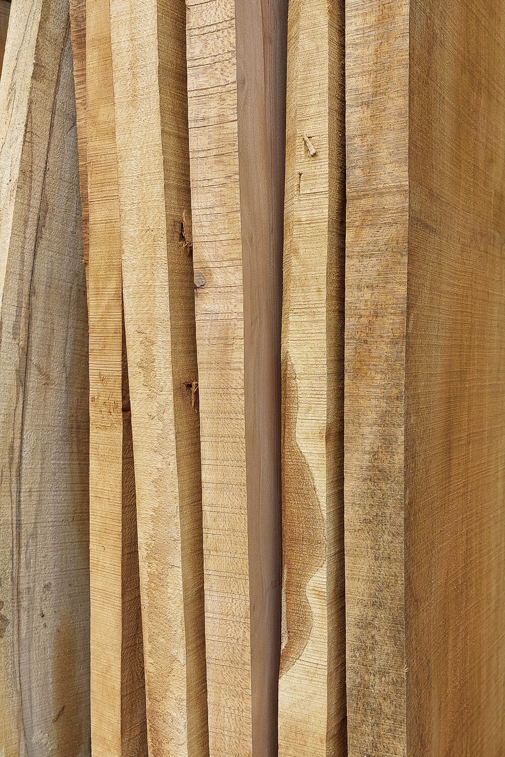 ELM