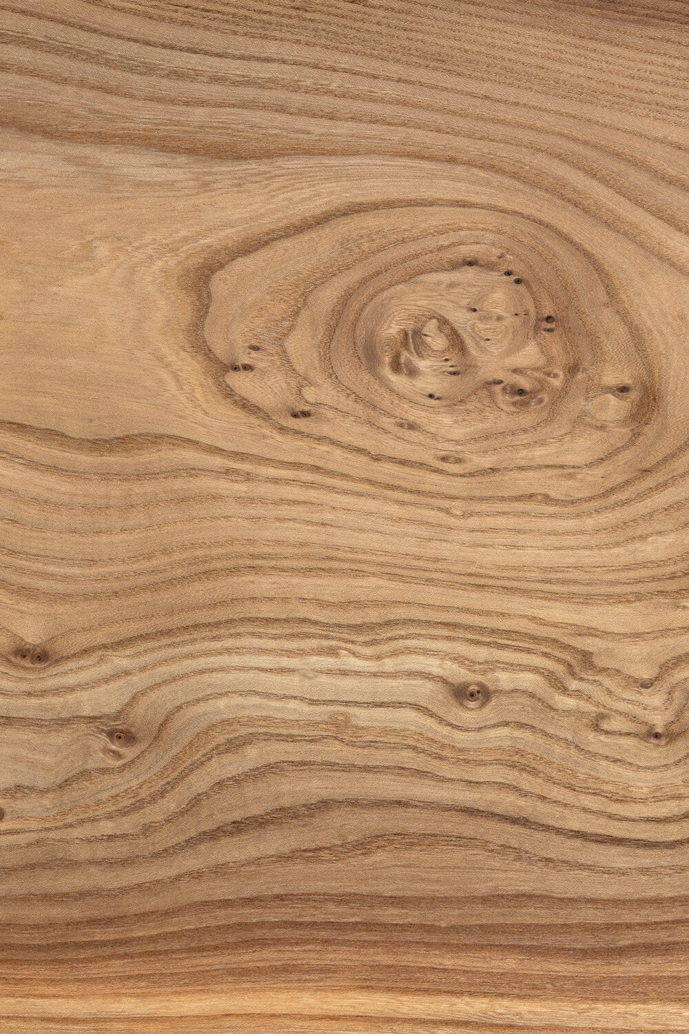 ELM