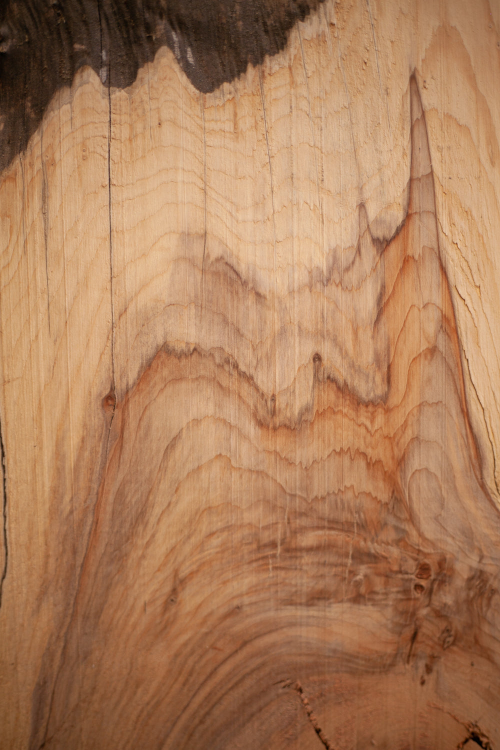 Yew - Waney Edge board