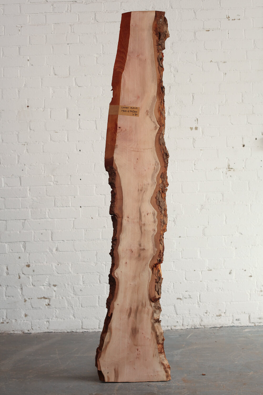London Plane - Waney Edge board