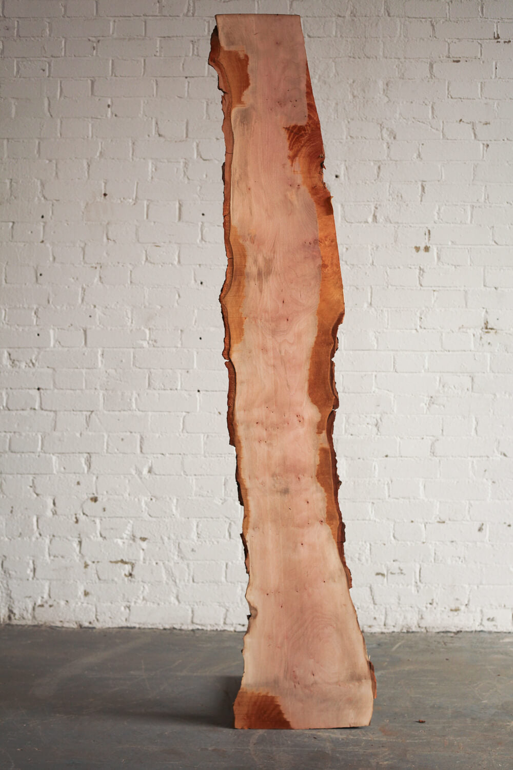 London Plane - Waney Edge board