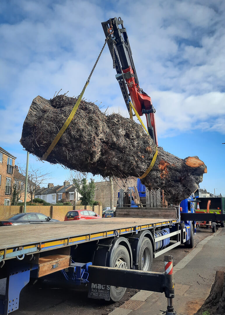 A tree stem being loaded onto a lorry with a crane