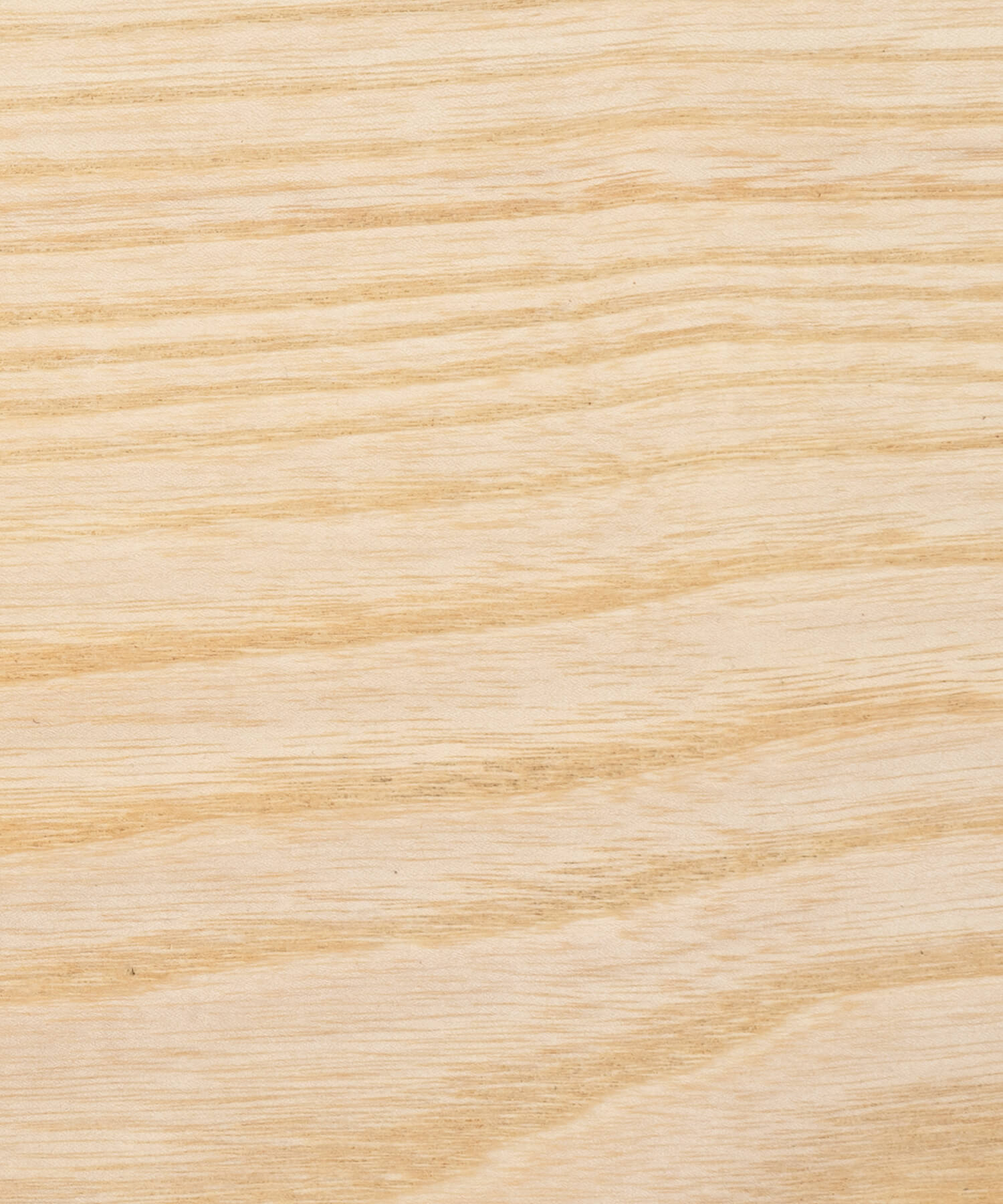 Oiled ash timber grain close up