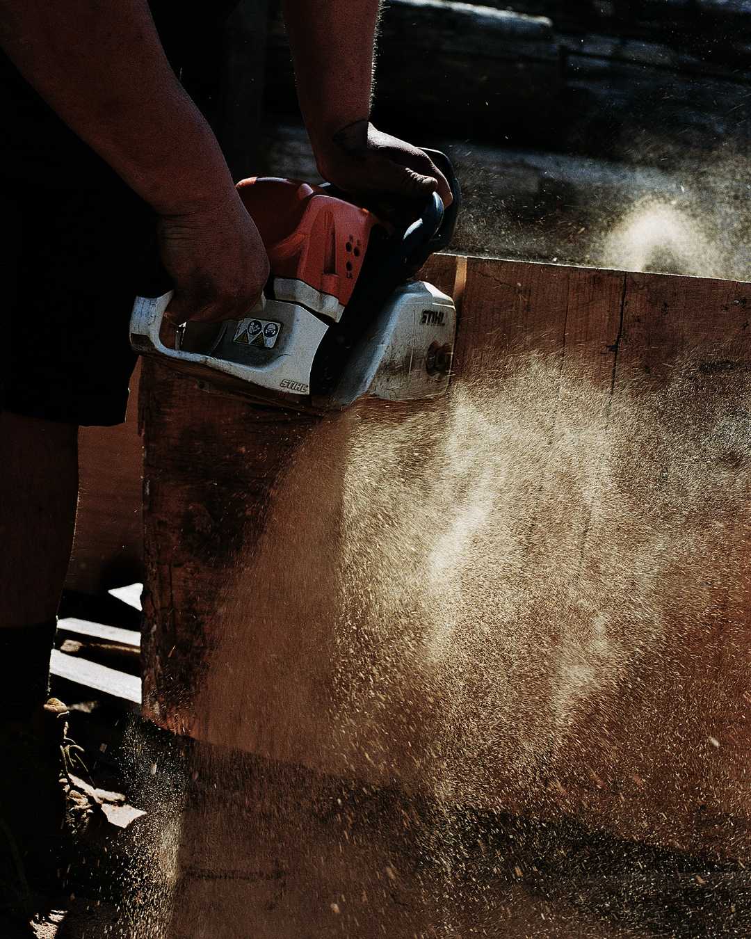 Close up of a chainsaw milling English hardwood timber 