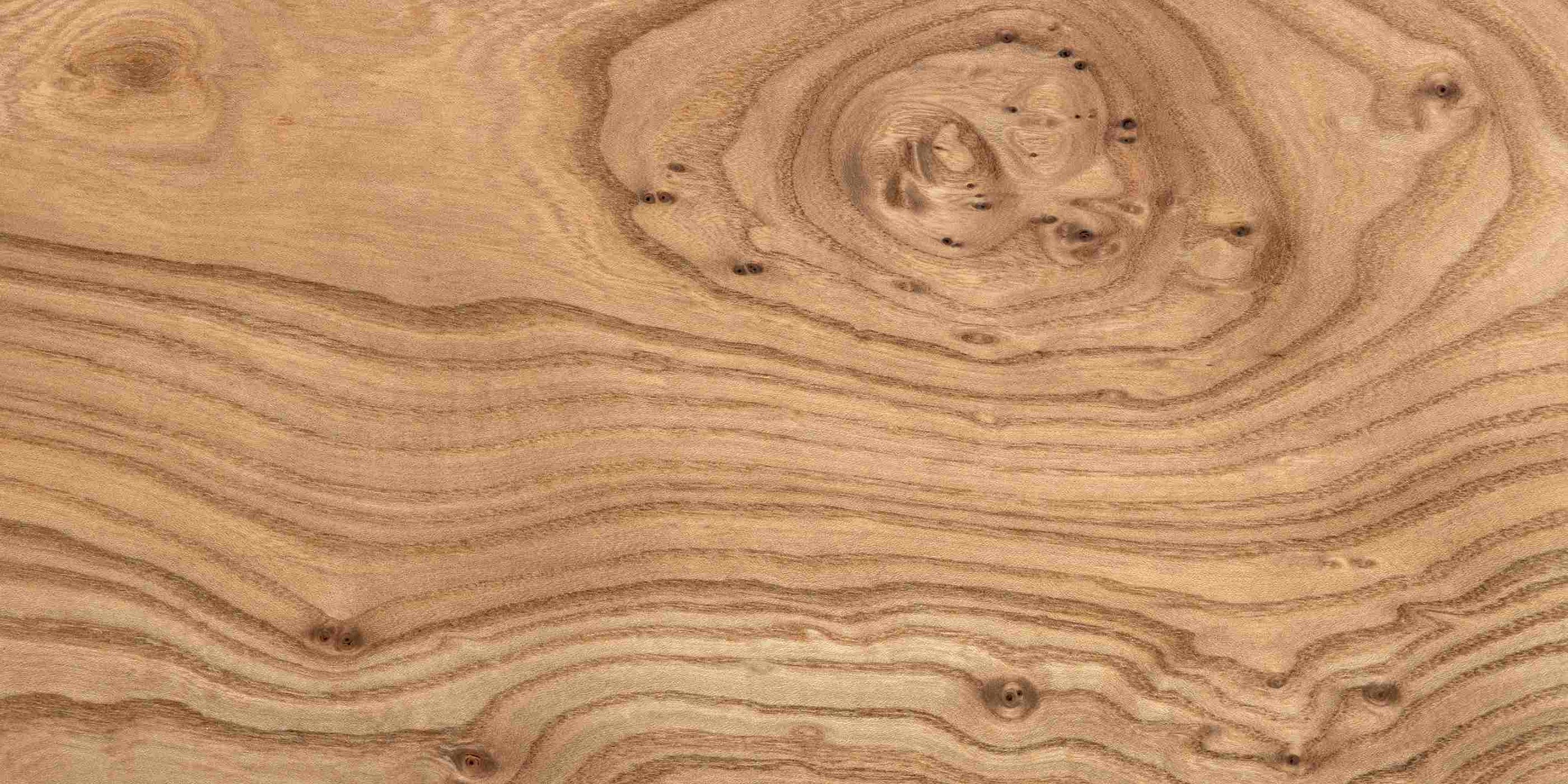 Elm Wood | English Elm Boards | Fallen & Felled