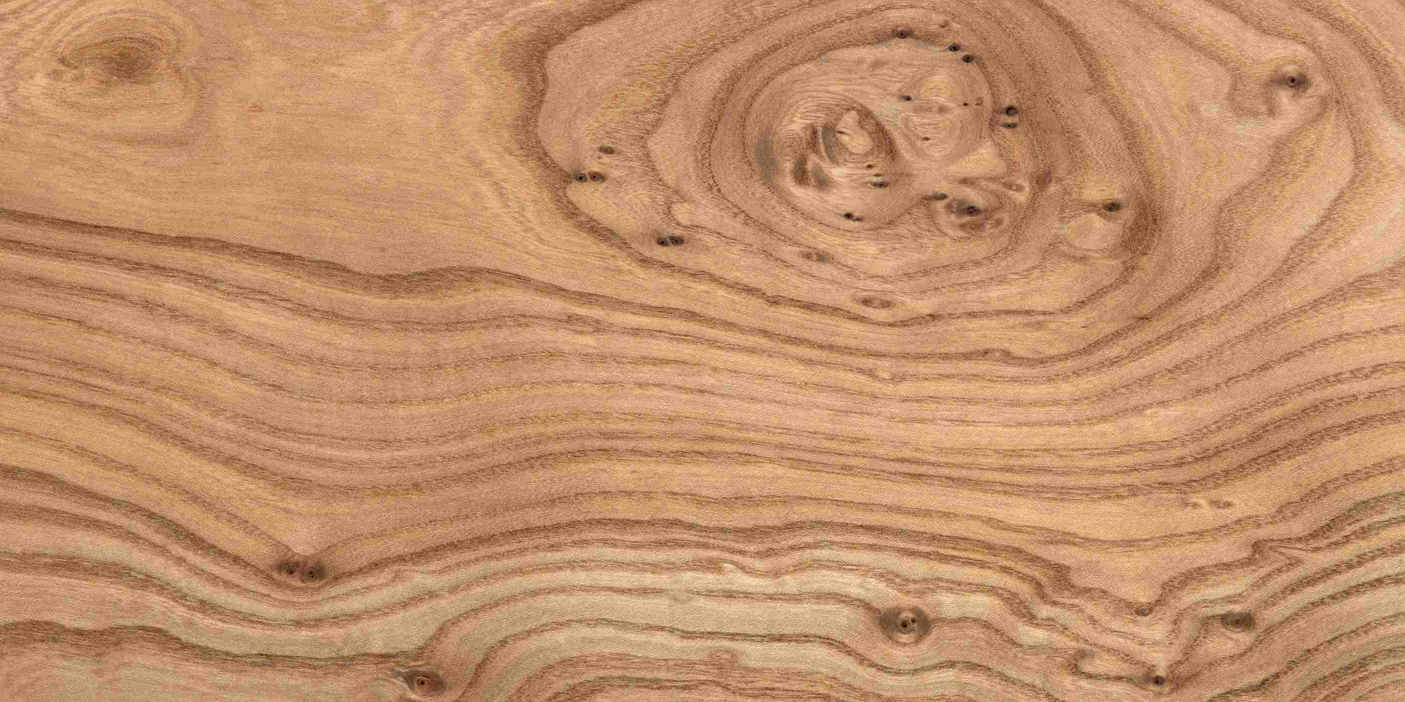 Close up of an elm wood board showing rich grain patterns
