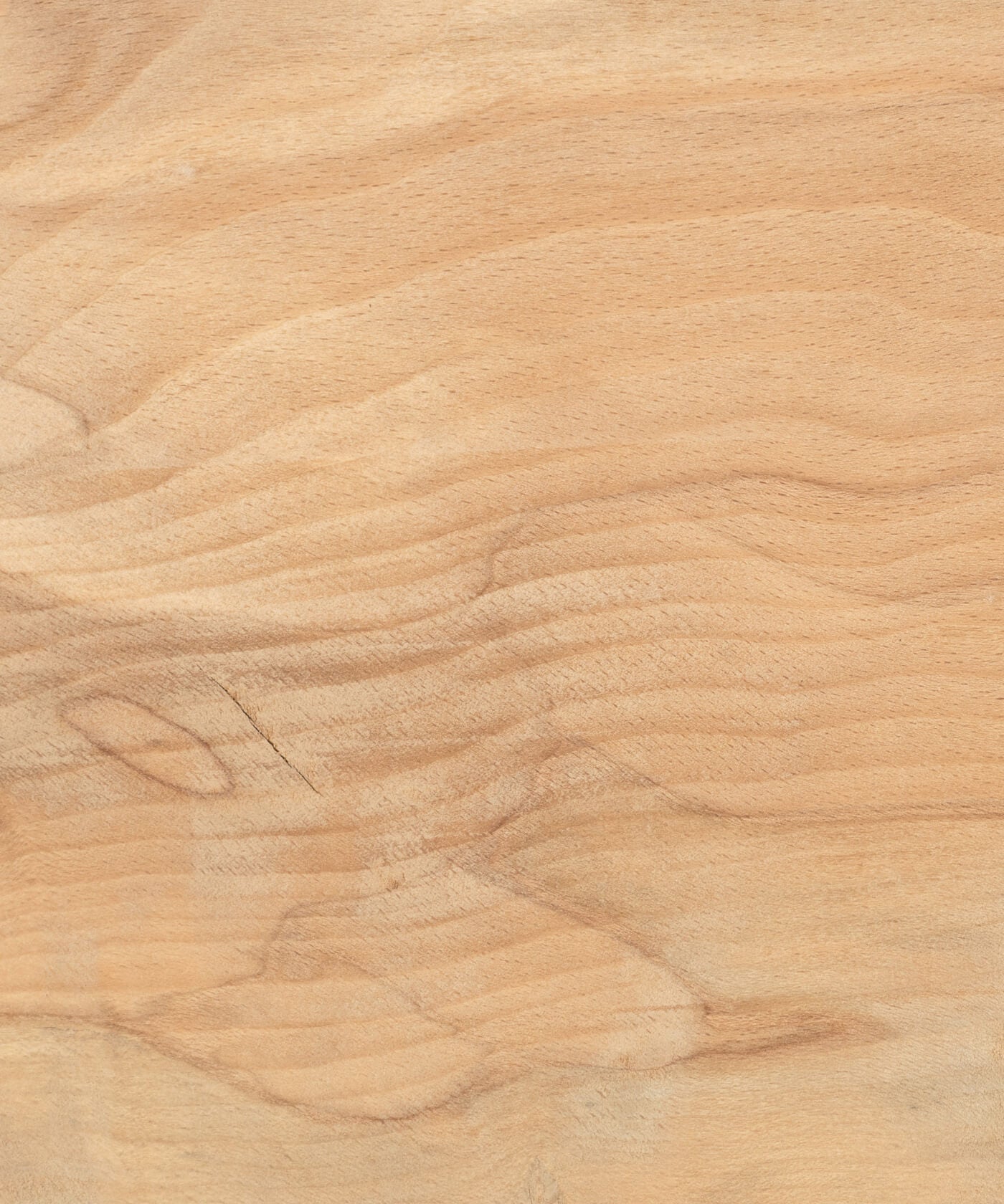 unoiled flamed beech timber grain close up