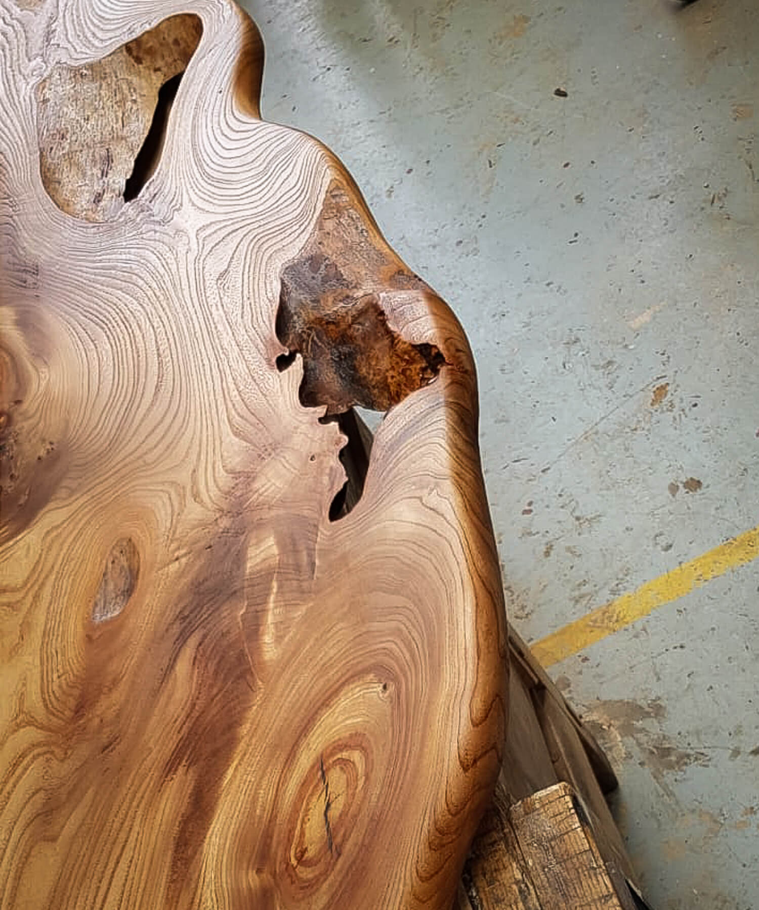 Elm timber character furniture