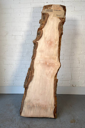 London Plane - Waney Edge Board