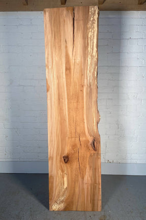 London Plane - Single Board