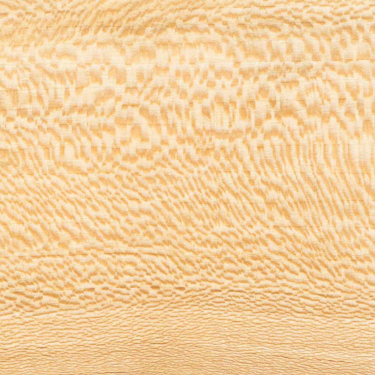Close up of London plane wood grain