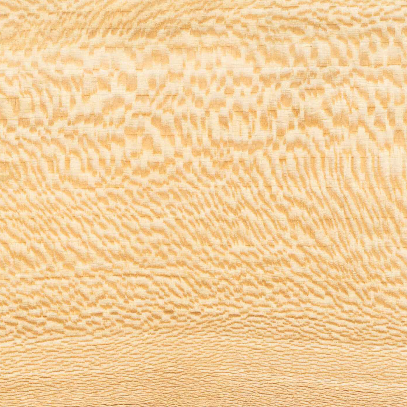 Close up of London plane wood grain