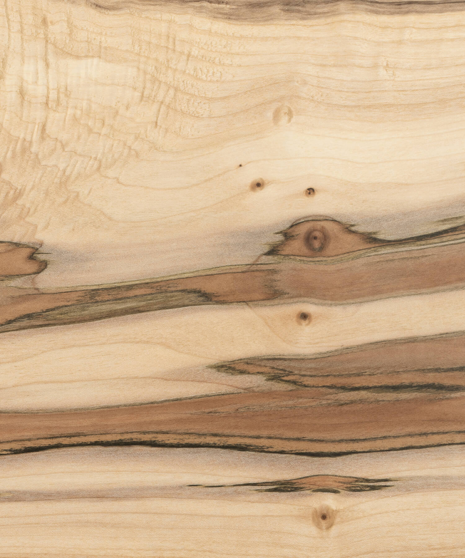 oiled norway maple timber close up