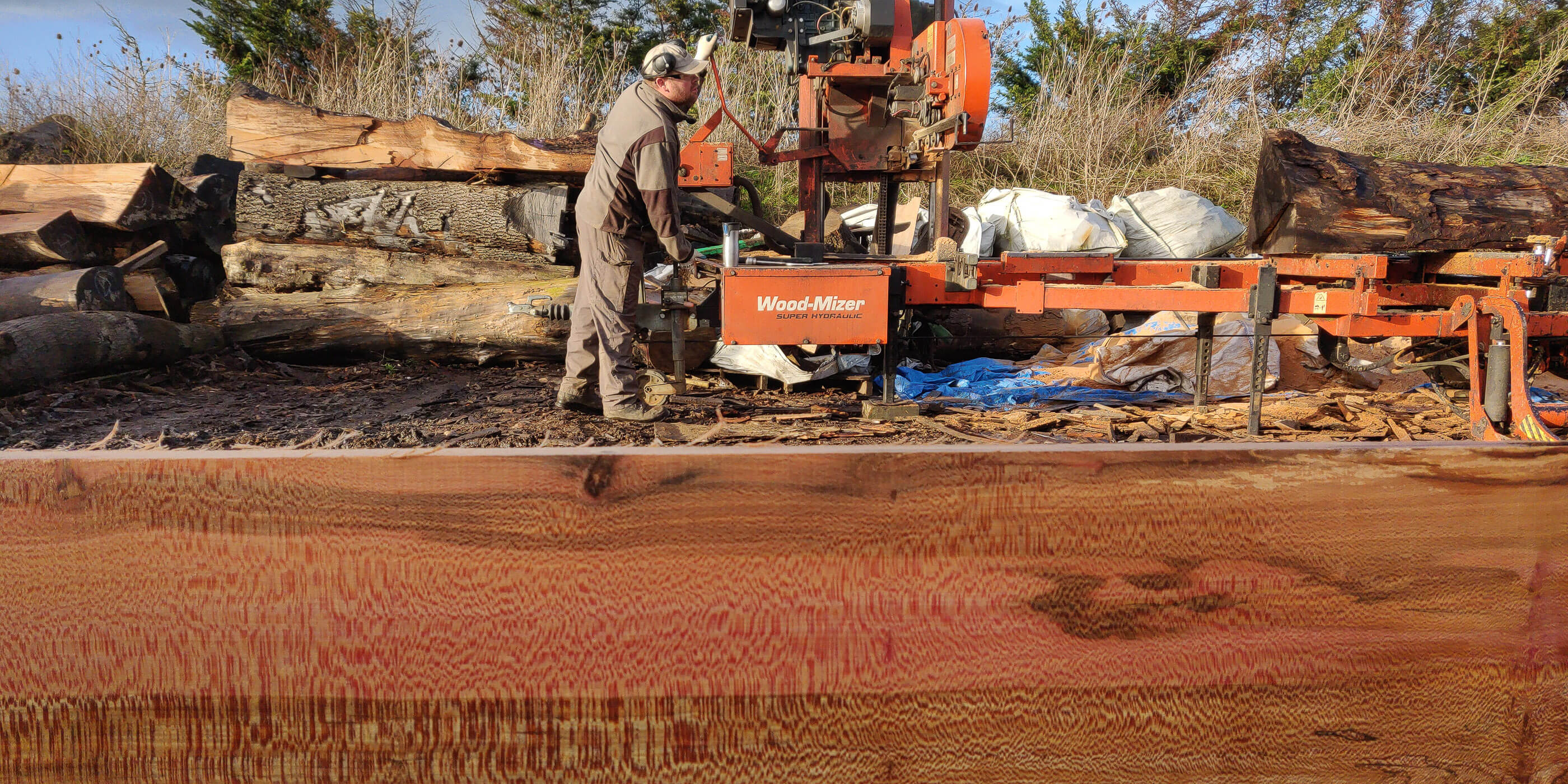 Milling London plane timber outdoors using woodmizer saw