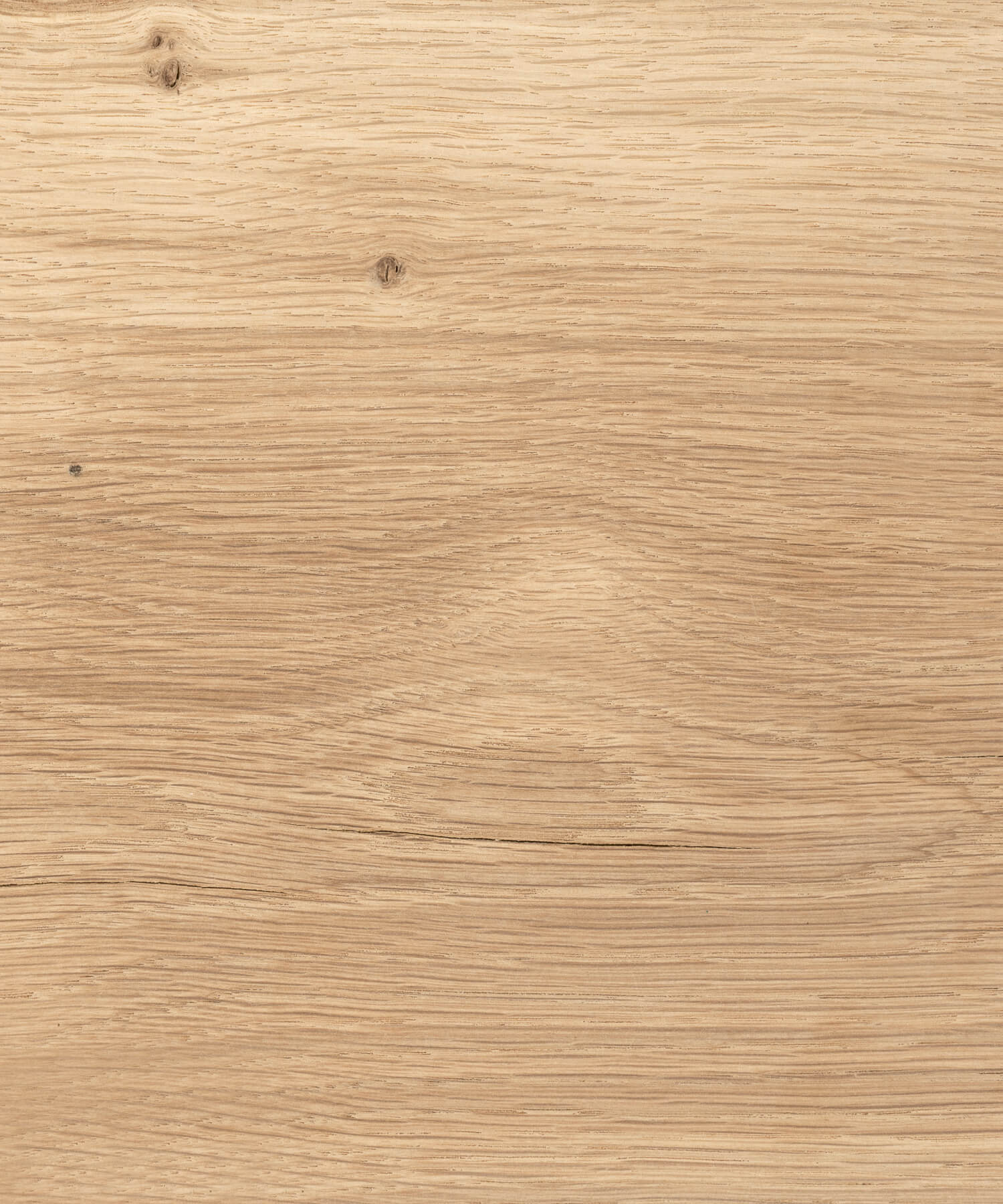 oak timber grain close up