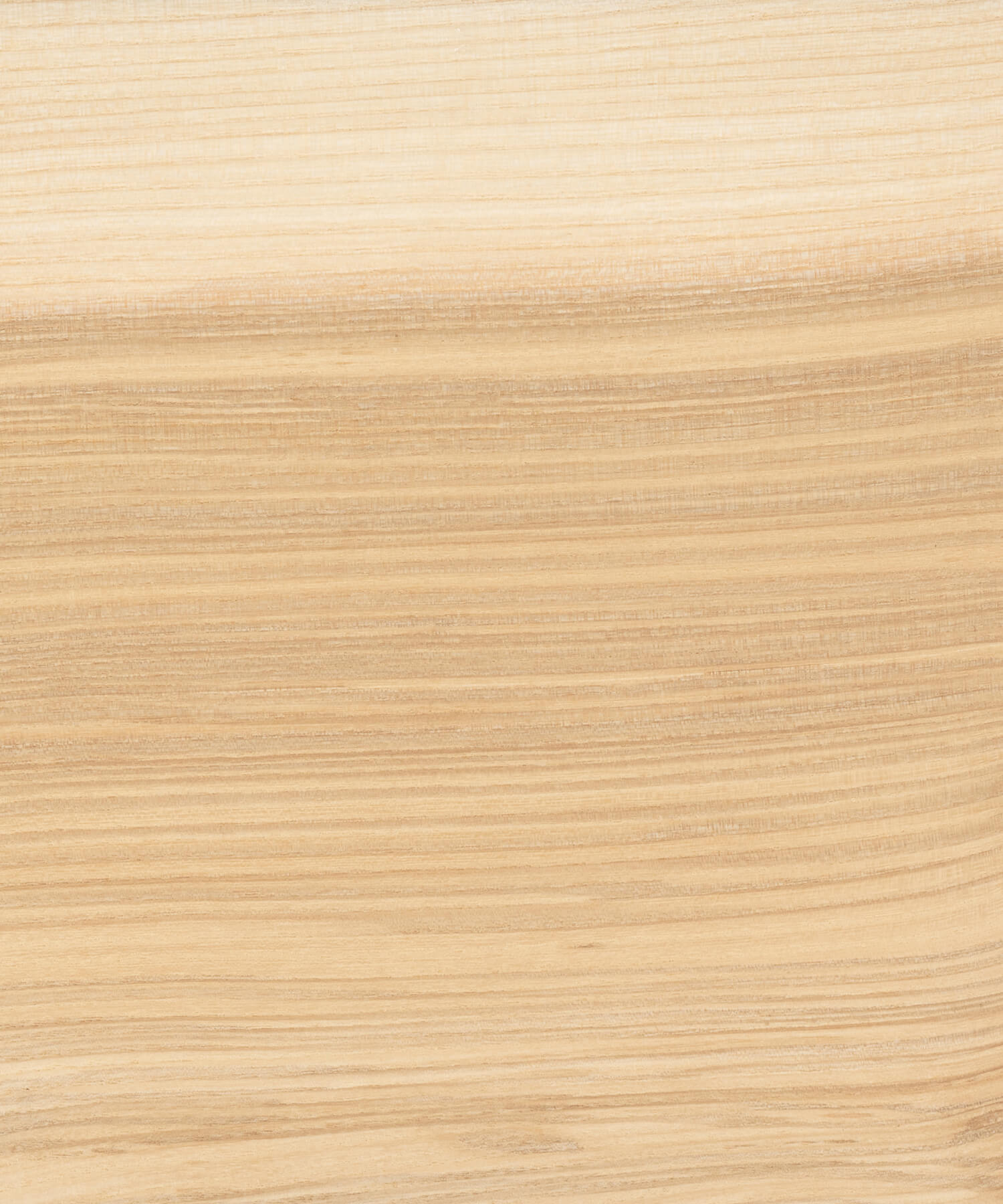 Olive ash timber grain close up