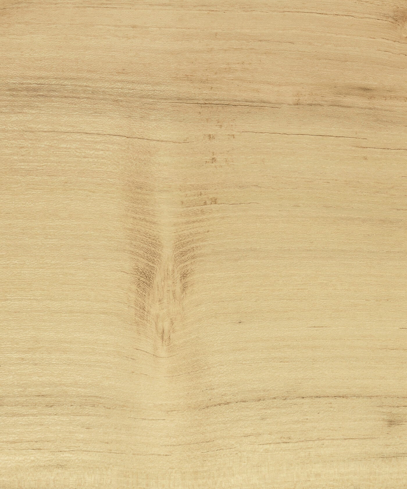 unoiled Robinia timber grain close up