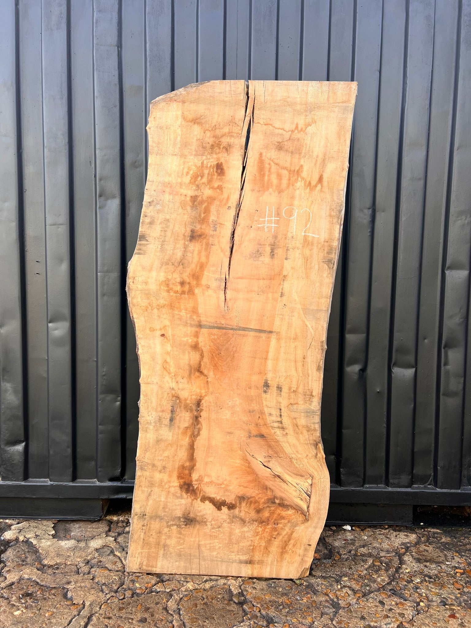 London plane - slab S0092
