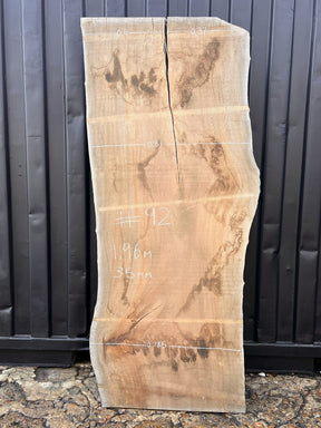 London plane - slab S0092