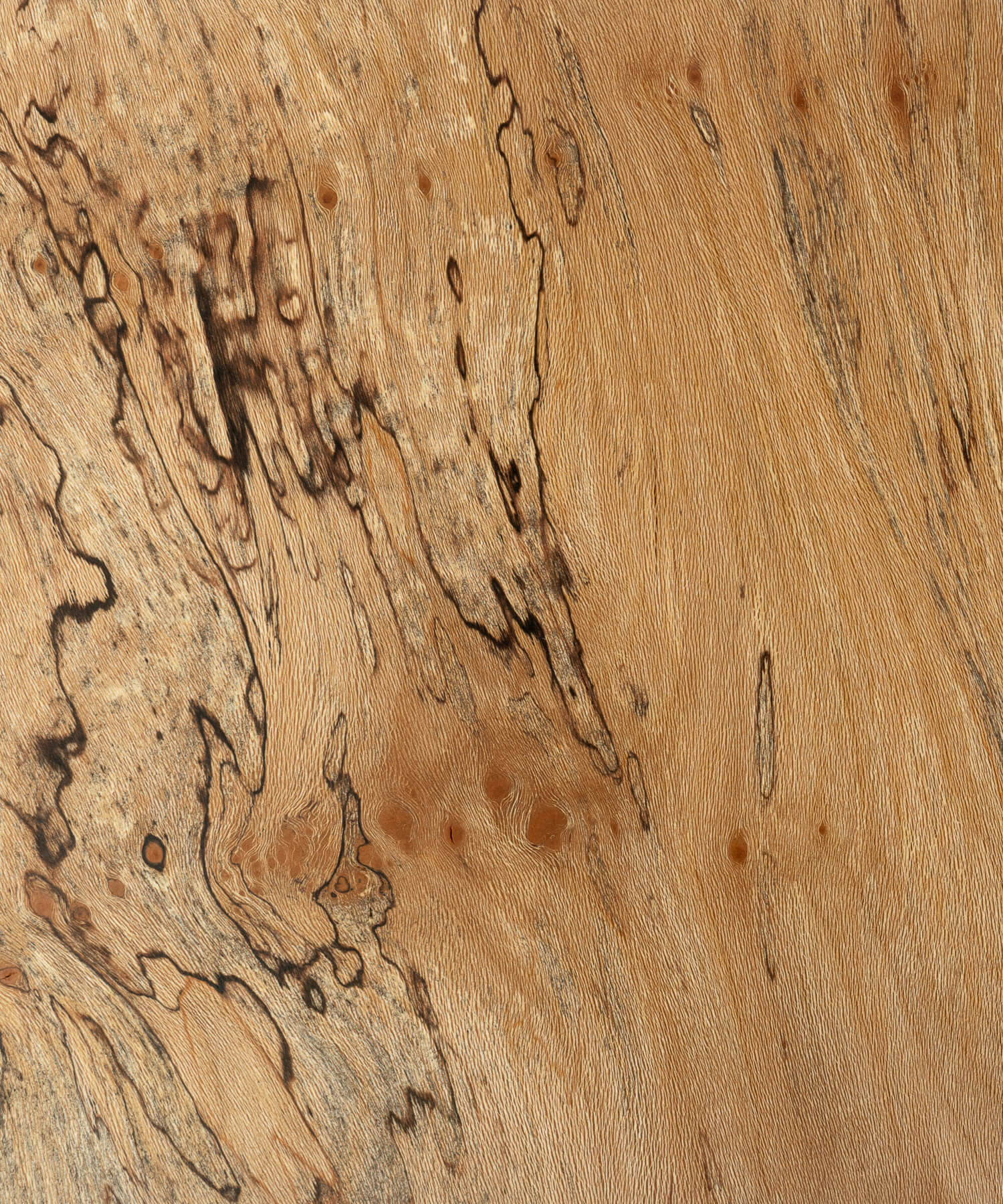 Spalted London plane timber oiled close up