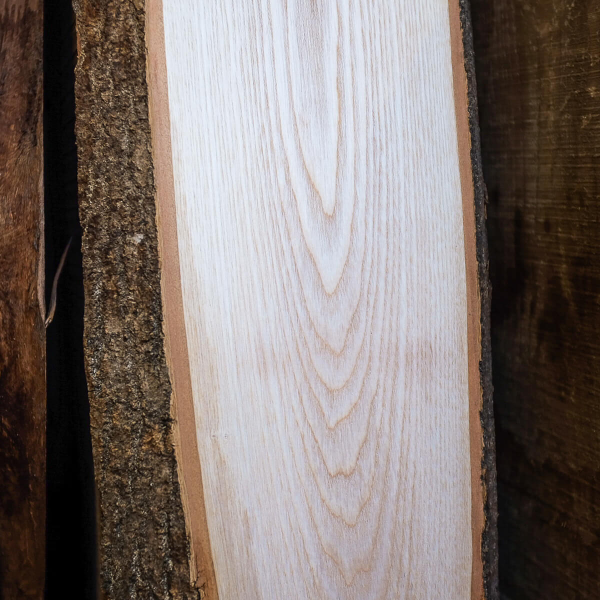 Ash timber board