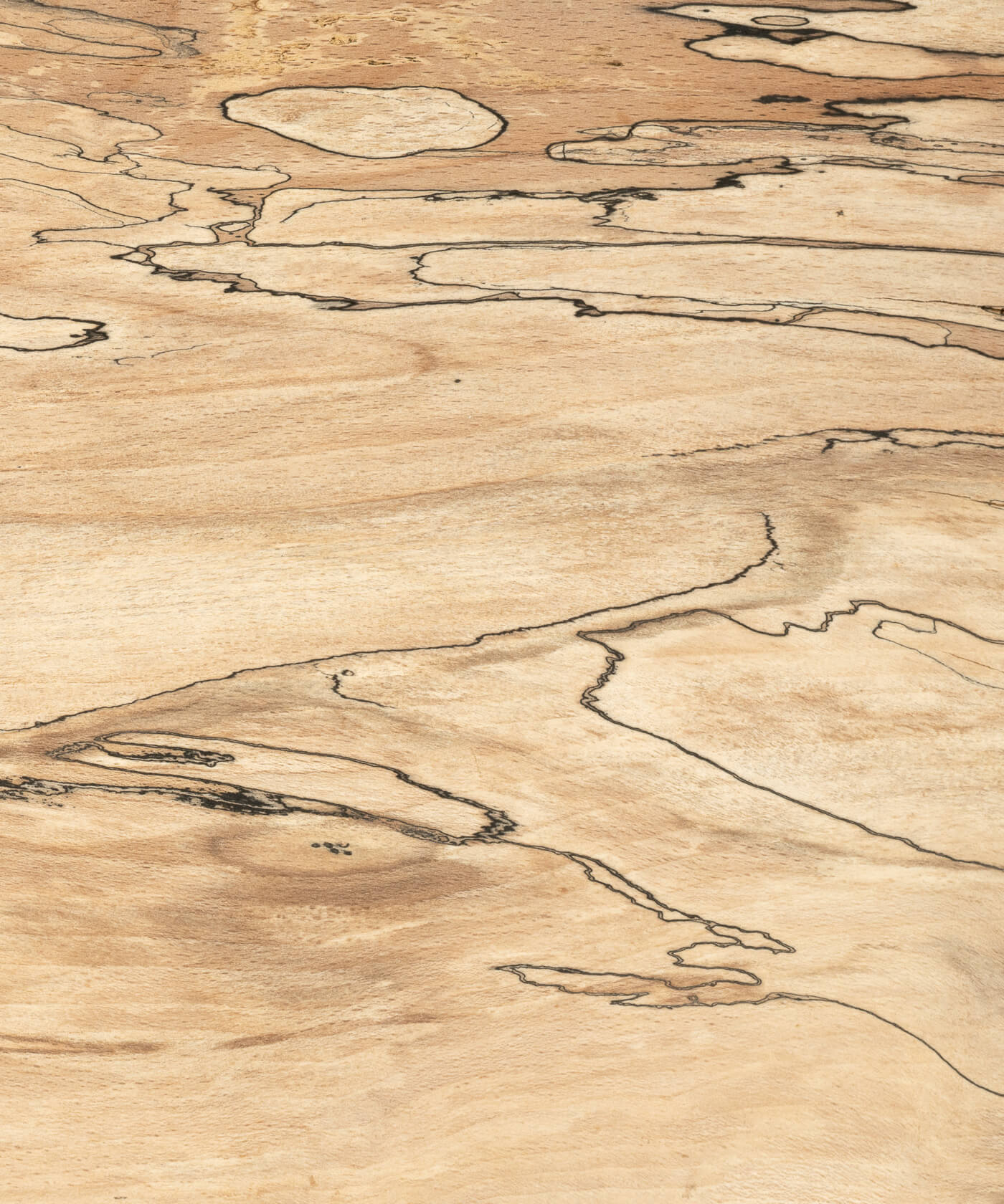 Unoiled spalted beech timber grain close up