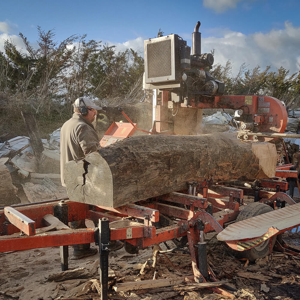 Hardwood timber trunk being milled outdoors