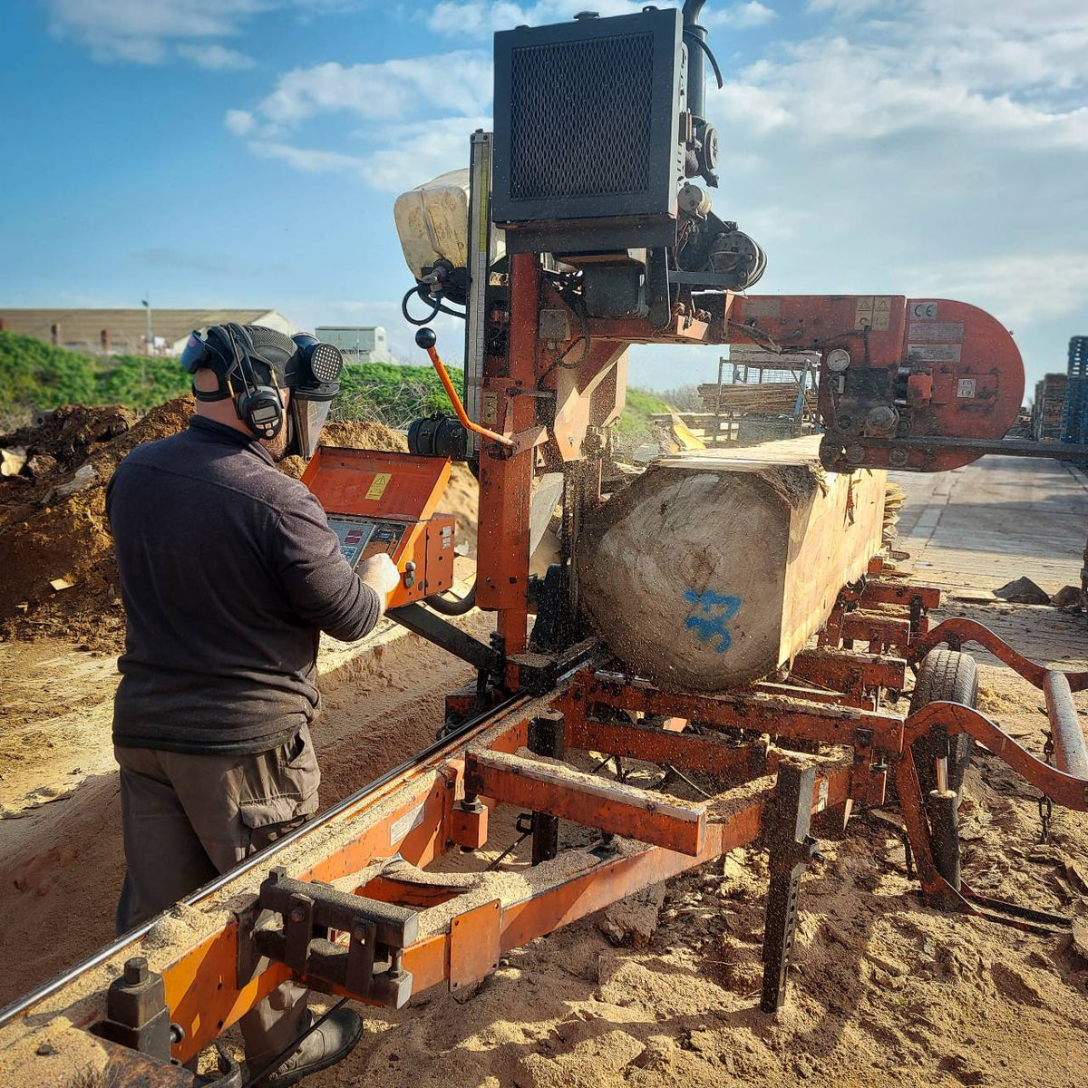 Milling Hardwood Timber | Fallen and Felled London