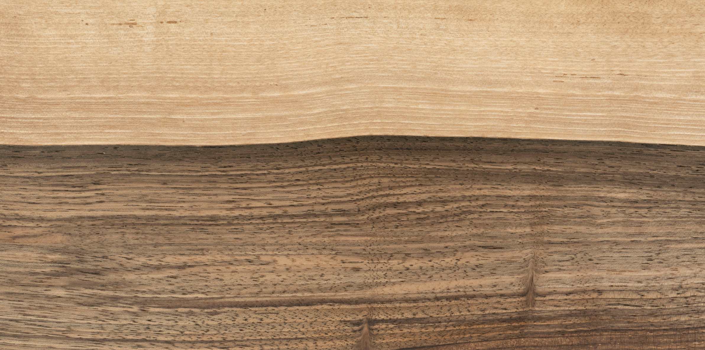 Close up of walnut wood grain 
