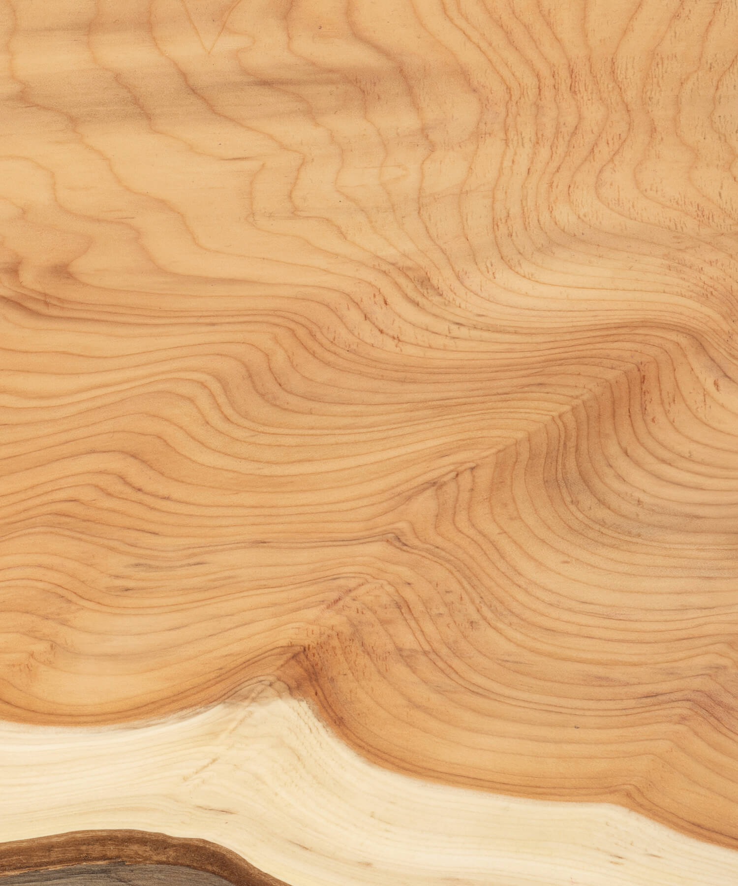 oiled yew timber grain close up