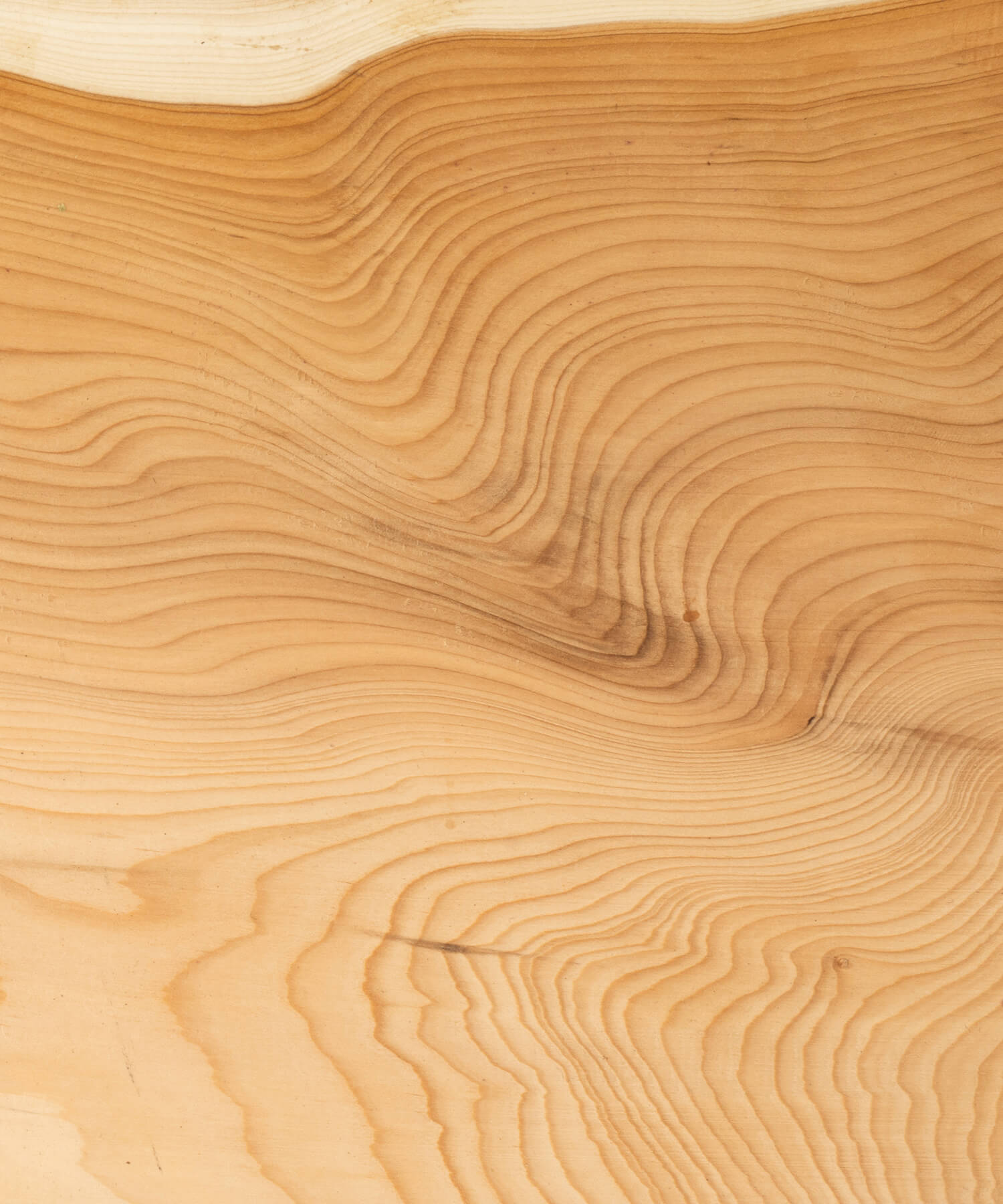 unoiled yew timber grain close up
