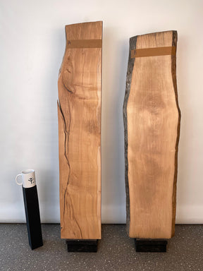 Beech - Character Boards