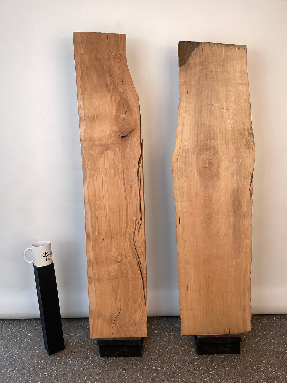 Beech - Character Boards