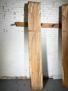 Beech - Spalted Boards