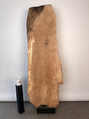 Beech - Spalted Live Edge Board