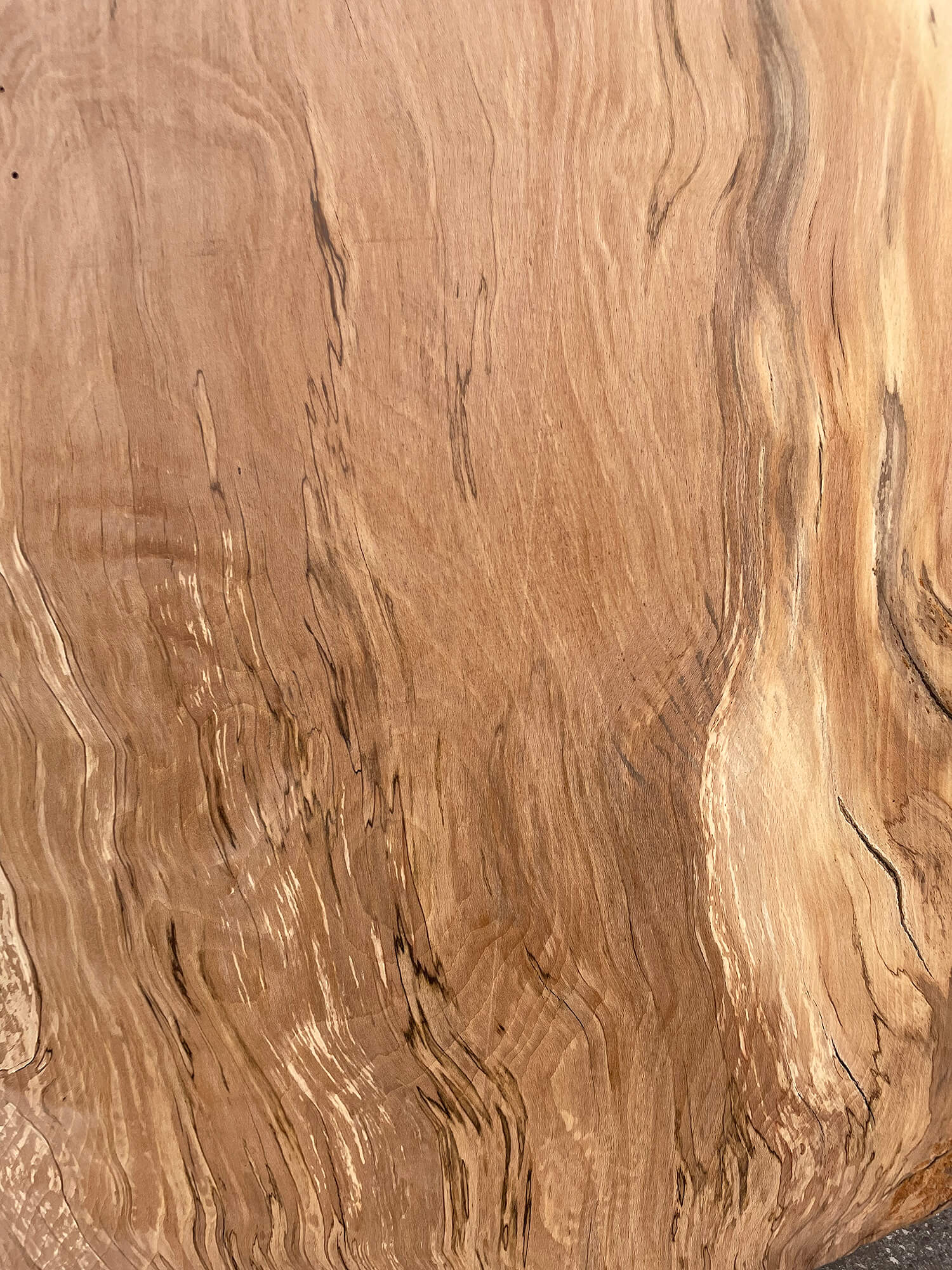 Beech - Spalted Live Edge Board