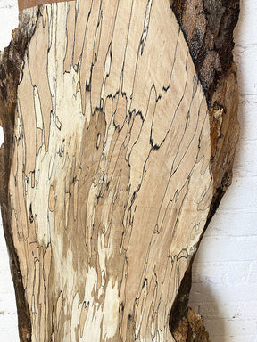 Beech - Spalted Live Edge Board
