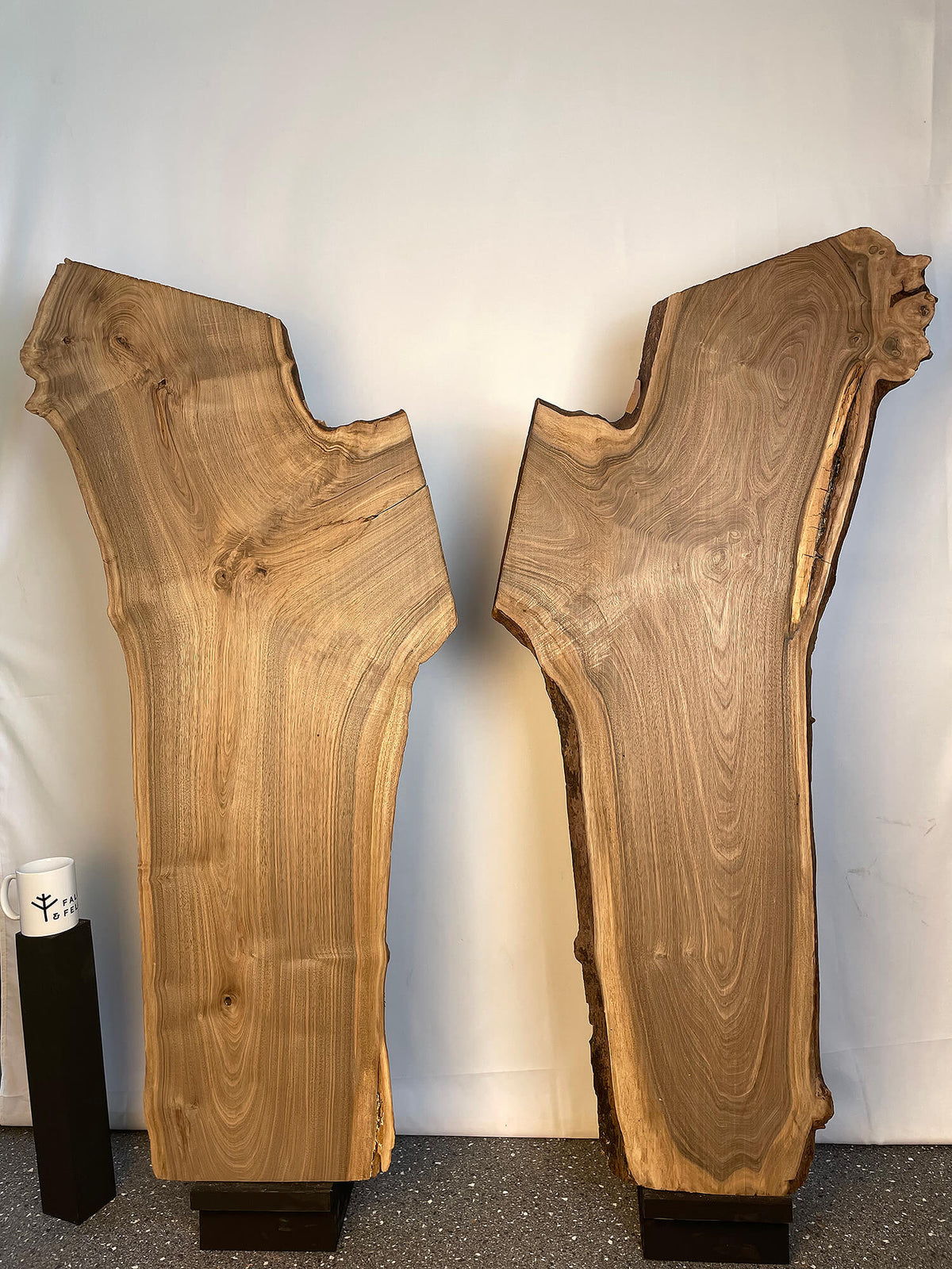 Black Walnut - Bookmatched Pair