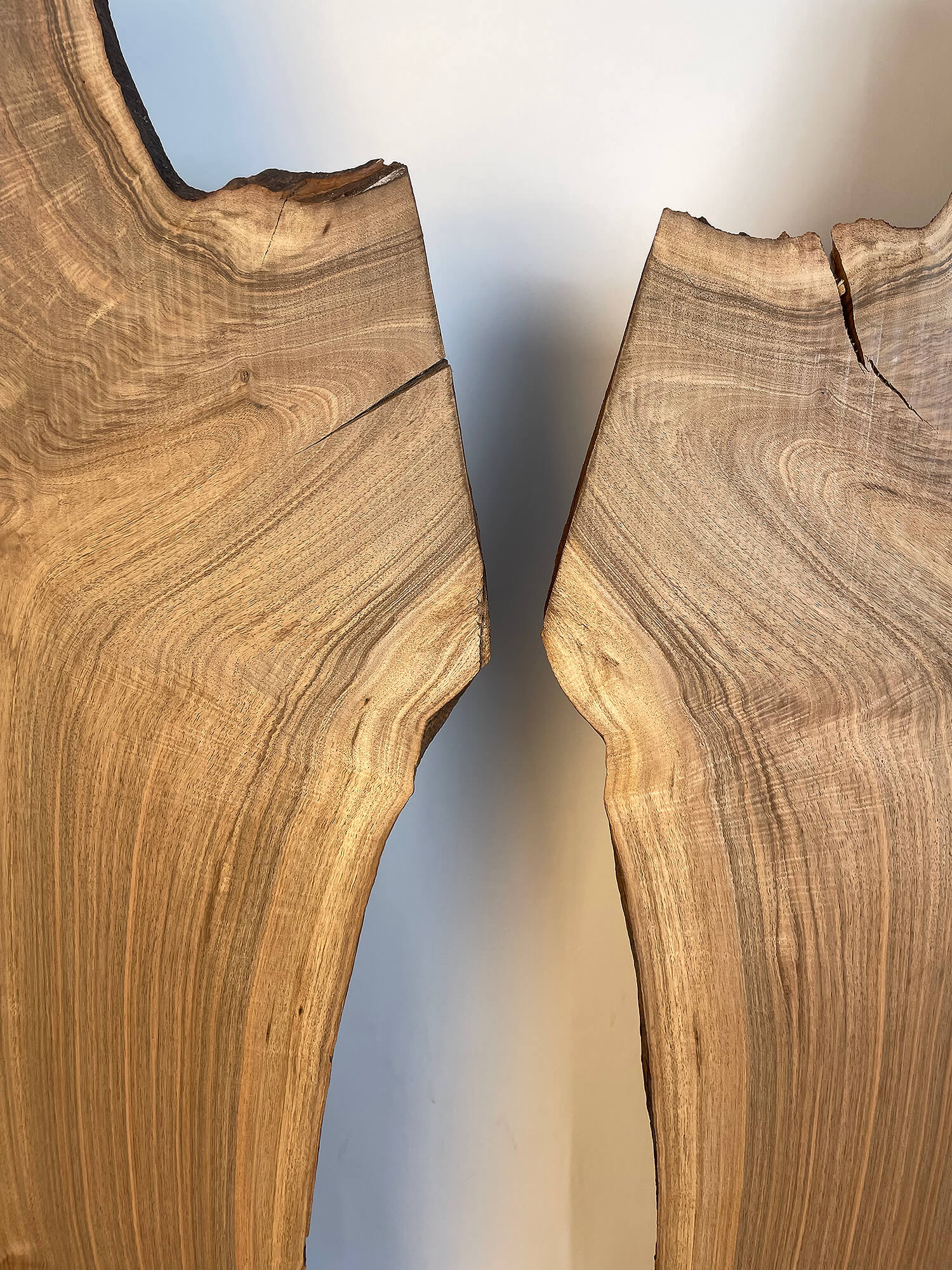 Black Walnut - Bookmatched Wood Boards