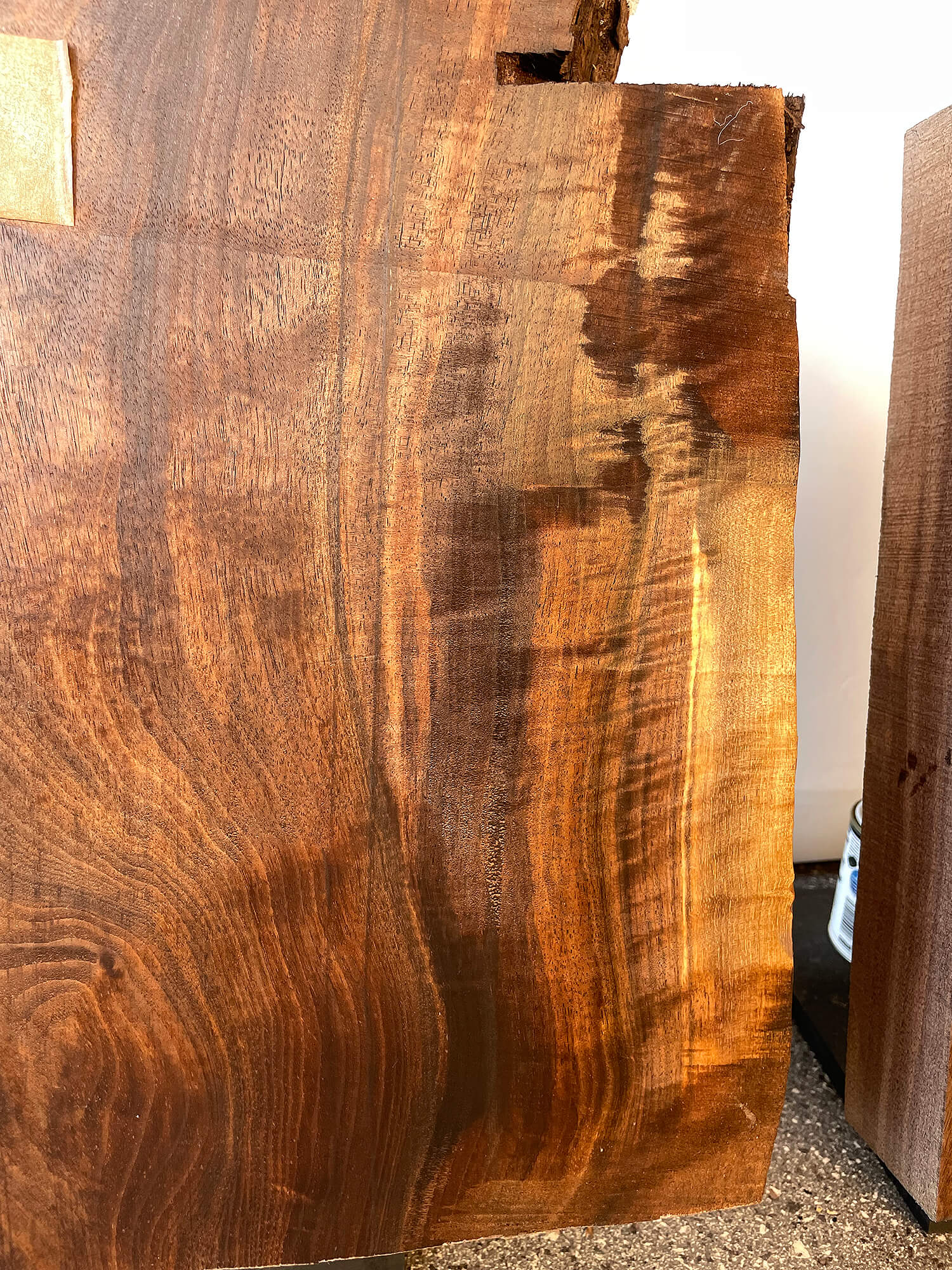 Black Walnut - Colourful Boards