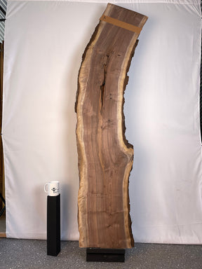 Black Walnut - Double Live Edge Board