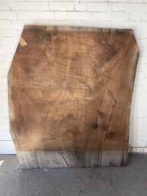 Black Walnut - Giant Rustic Slab