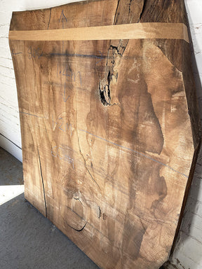Black Walnut - Giant Rustic Slab