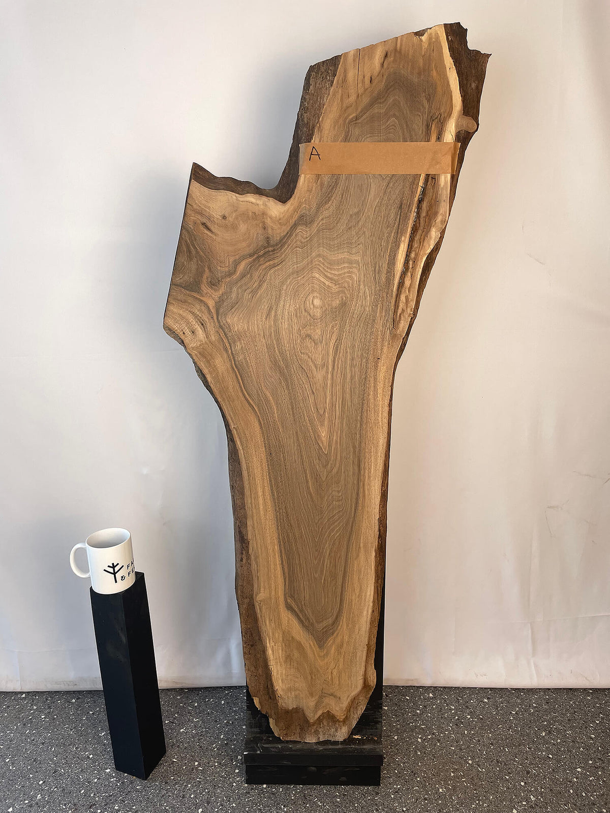 Black Walnut - Live Edge Board