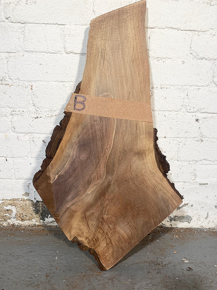 Black Walnut - Live Edge Boards